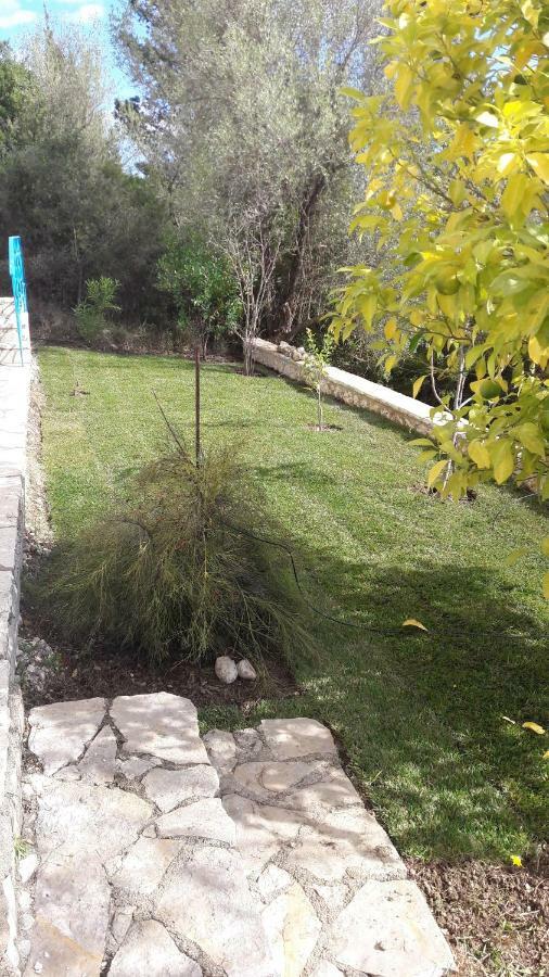 Kallimos Vasiliki  Bagian luar foto